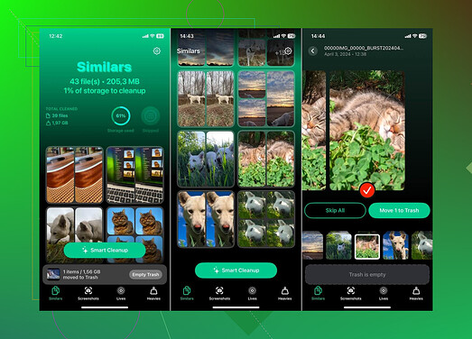 Clever Cleaner App Interface